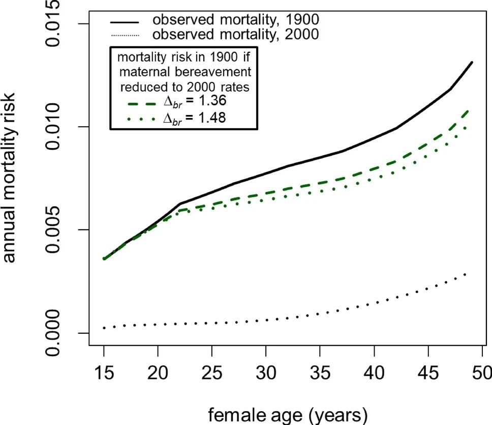 The inferred rates of mortality for non-bereaved females in 1900 are substantially lower than the observed mortality rates. Elimination of child loss would have shifted all females into the non-bereaved category, resulting in an overall reduction in population mortality.