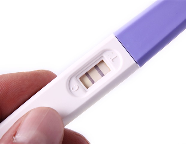 La carencia preantral de zinc puede afectar a los meses de fertilidad