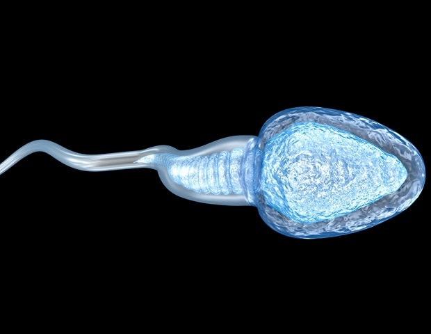 La deficiencia de taurina en el esperma se relaciona con la infertilidad masculina