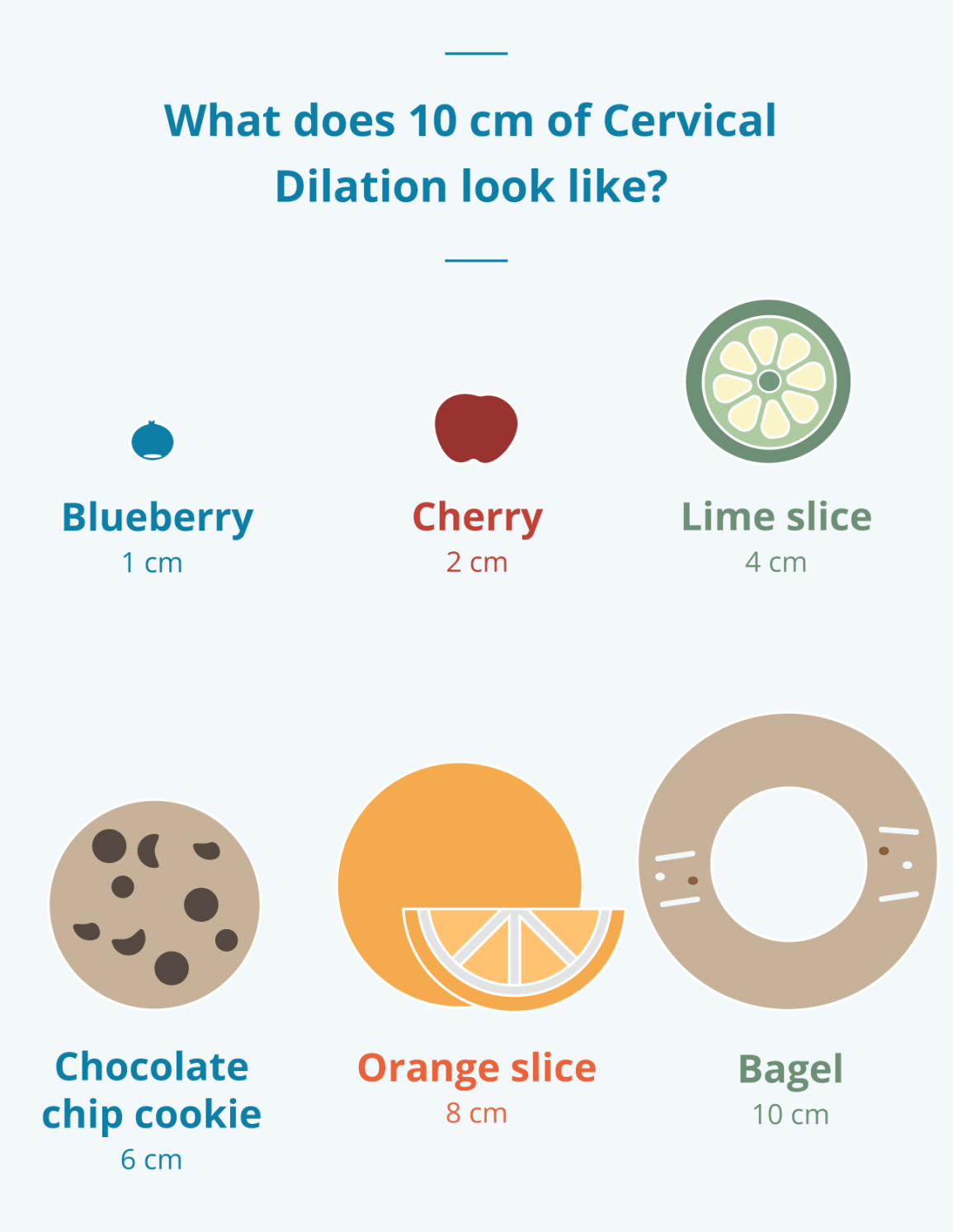 Infographic showing what the various sizes of cervical dilation look like