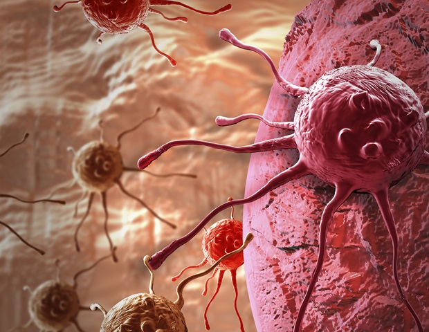 Un estudio establece una referencia nacional para la atención a los supervivientes de cáncer