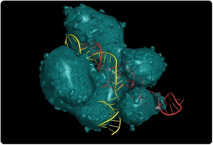 CRISPR puede reducir las enfermedades transmitidas por mosquitos