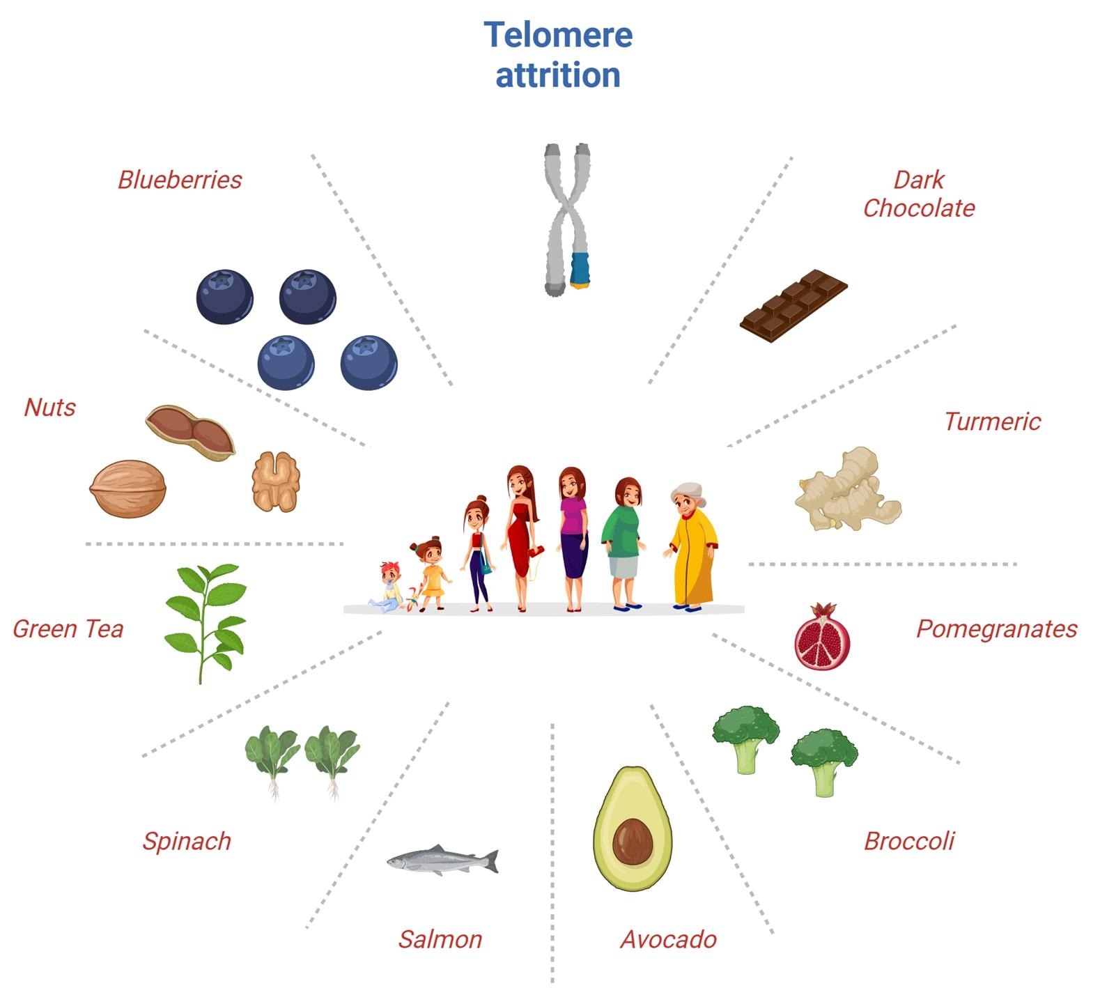 Graphical Abstract