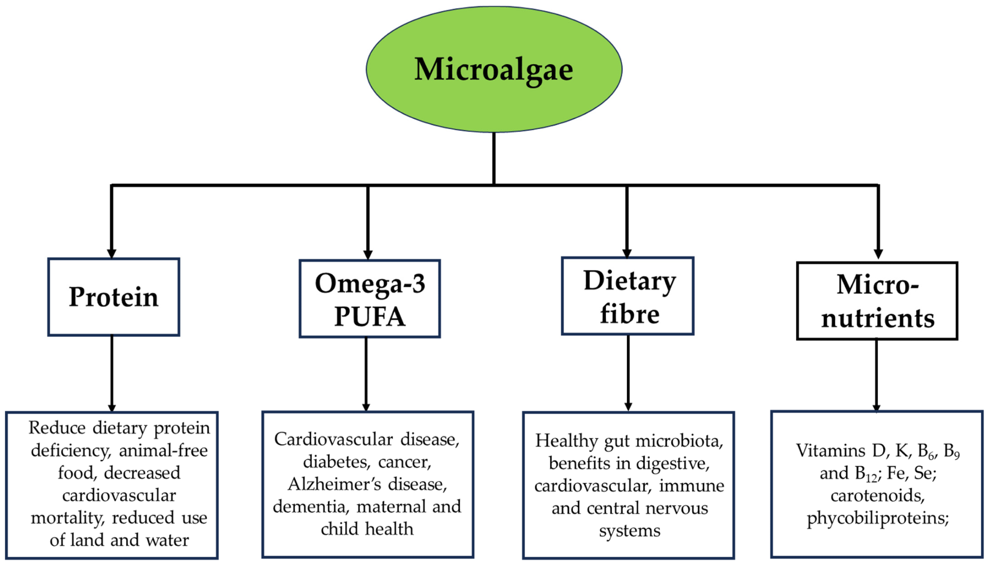 Major components of microalgae and their potential benefits.