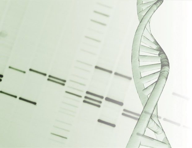 Los transposones desempeñan un papel esencial en el desarrollo humano temprano