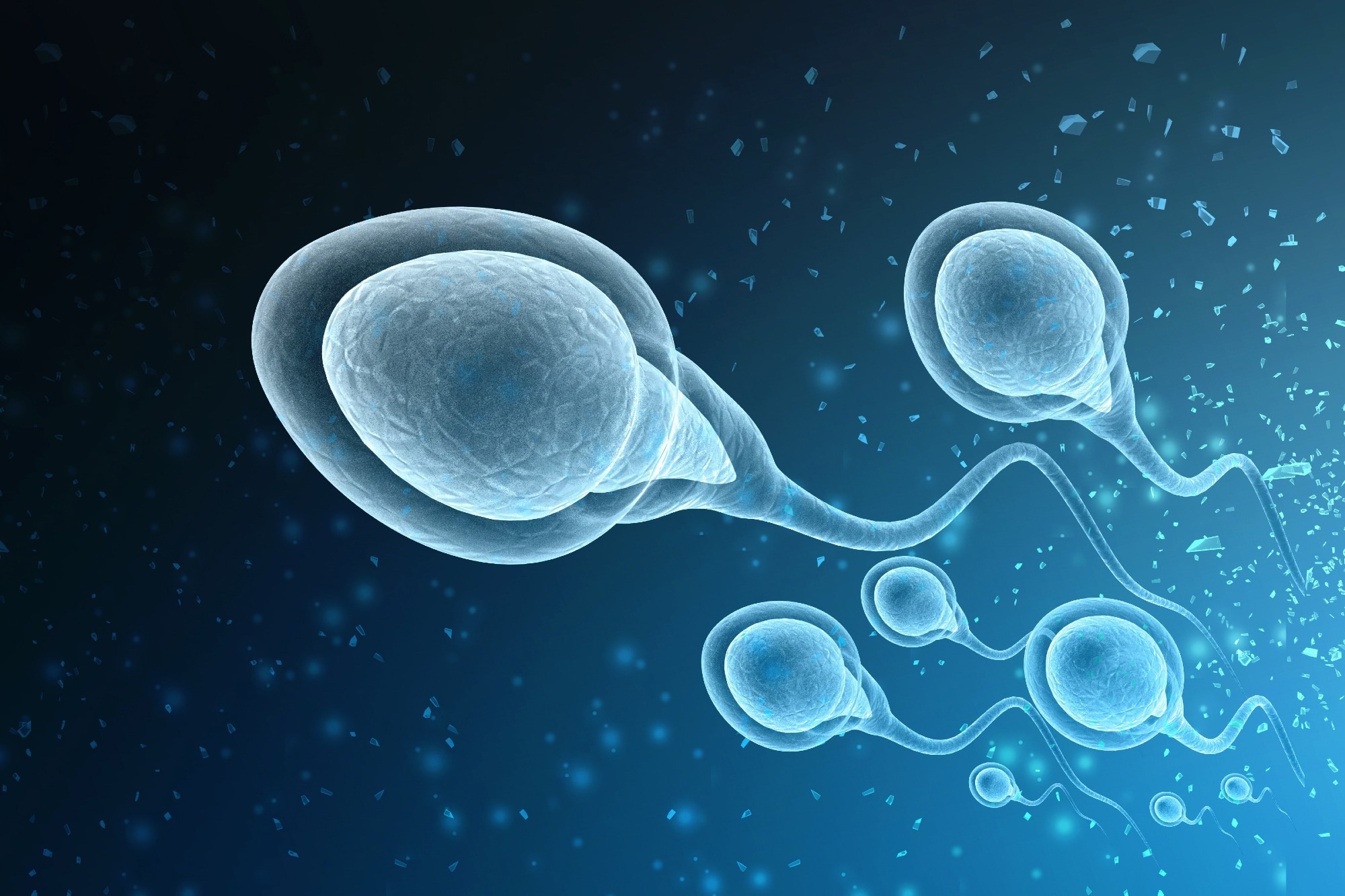 Study: Association of mixed exposure to microplastics with sperm dysfunction: a multi-site study in China. Image Credit: WHITE MARKERS / Shutterstock